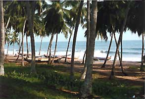 Korkobite Beach